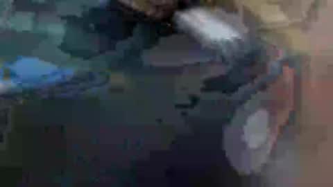 fiona online show from January 2025 10:48:01 AM