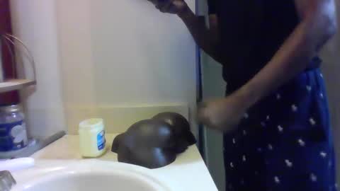 uzithebbc online show from December 2024 08:47:01 AM