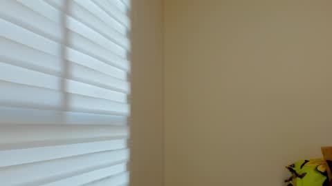 Valezny V online show from October 2025 10:07:02 PM