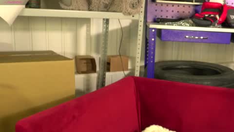 Vance online show from February 2025 07:42:02 AM