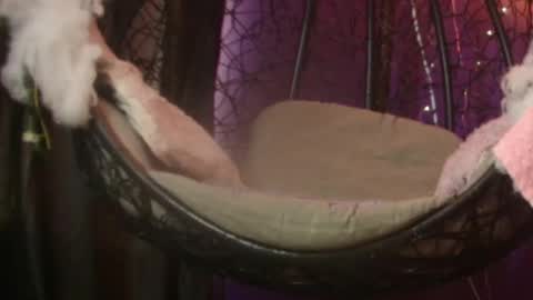 Vanelope online show from November 2025 07:16:02 PM