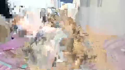 Vanessa online show from December 2025 12:05:01 AM