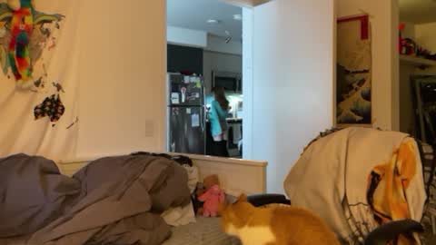 Vanessa  online show from January 2025 03:07:01 PM