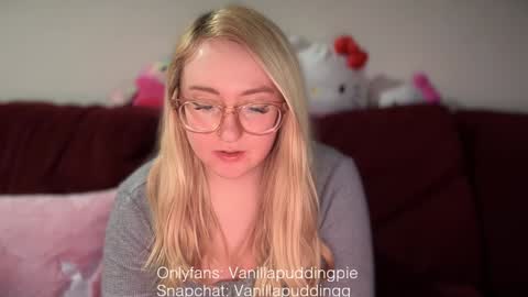 Snapshot of vanillapuddingpie chatting on December 2024 11:40:02 PM vanillapuddingpie online show from December 2024 11:40:02 PM