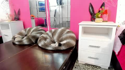 Vannellope online show from April 2026 12:27:02 PM