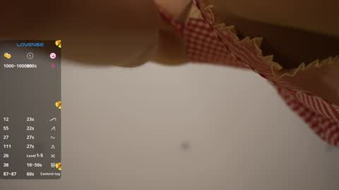 Snapshot of vasillisa chatting on February 2026 10:51:02 AM Vasilisa online show from February 2026 10:51:02 AM