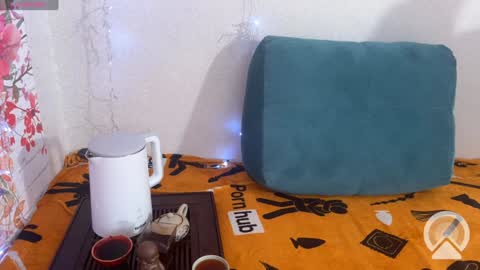 Snapshot of vasya_sylvia chatting on December 2024 08:08:02 AM Vasya Sylvia online show from December 2024 08:08:02 AM