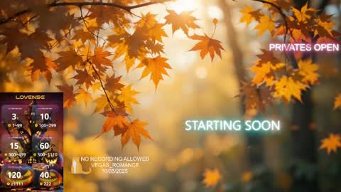 vegas_romance online show from October 2025 12:19:01 AM