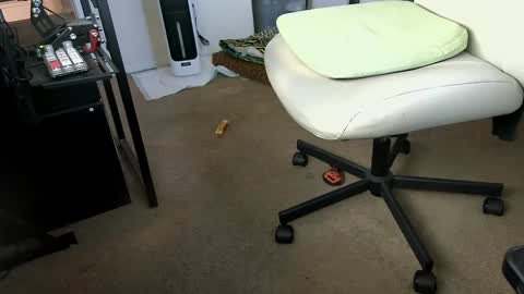 vegasnightowl online show from October 2025 02:36:01 PM