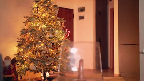 Adalline online show from December 2024 01:17:01 PM