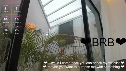 VENUS online show from January 2026 12:31:01 PM