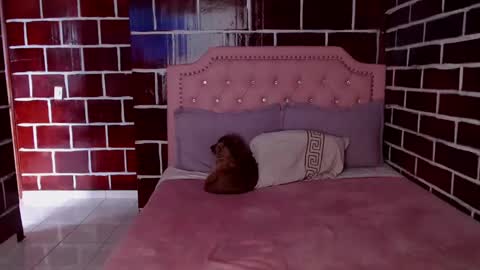 emily independent account  MY conextion 1100 GTM  to  17hr GTM online show from March 2025 10:34:02 PM