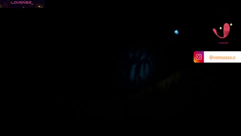 Snapshot of venussx_x chatting on December 2024 04:05:01 PM Venus MY BDAY 29 SEPT online show from December 2024 04:05:01 PM