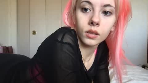 venustheflytrap online show from April 2026 05:03:02 PM