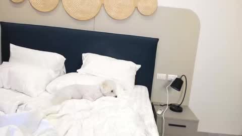 Snapshot of veola_new chatting on November 2025 02:32:01 AM Violetta online show from November 2025 02:32:01 AM