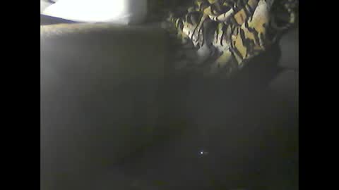 Im DanielVerdo  25 years old Lets have Fun and just ask what wanne know   tnew anal bigock cum  slave  fullnaked online show from December 2024 02:52:01 AM