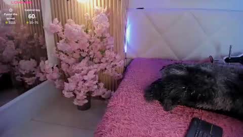 veronica_hill_ online show from July 2026 03:10:02 AM