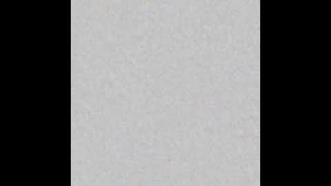Vero  online show from December 2024 01:45:02 PM
