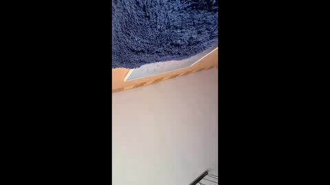 veronika456 online show from June 2026 07:58:02 AM