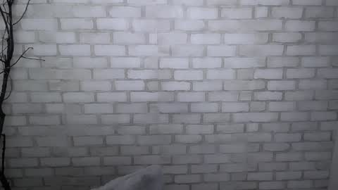 Ana online show from December 2024 01:36:02 PM