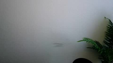 Ana online show from February 2026 09:14:02 AM