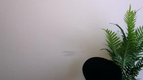 Ana online show from March 2026 01:06:01 PM