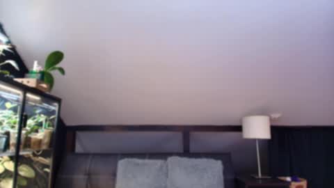 Snapshot of vevelicious chatting on May 2026 06:24:01 PM vevelicious online show from May 2026 06:24:01 PM
