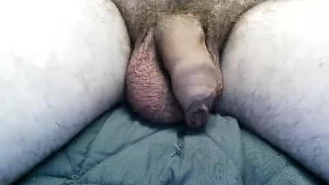 Vexnew online show from November 2025 11:26:02 PM