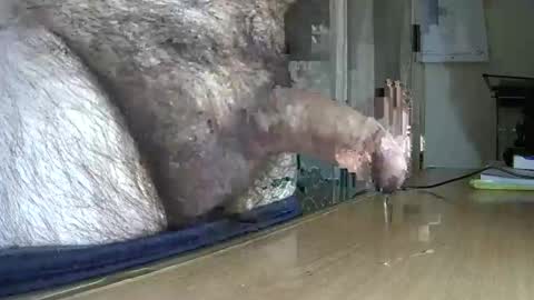 Snapshot of victorhume chatting on March 2025 11:42:02 PM VictorHume online show from March 2025 11:42:02 PM