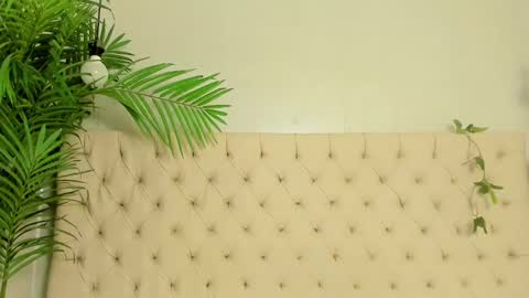 Victoria online show from February 2025 03:10:02 PM