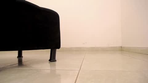 Victoria online show from January 2025 03:10:01 PM