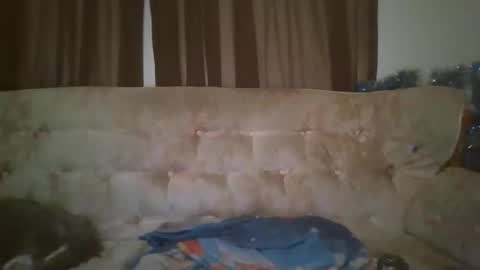 vids1977 online show from October 2025 08:24:02 AM