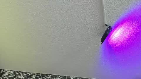 Viiolett online show from September 2025 04:19:01 PM