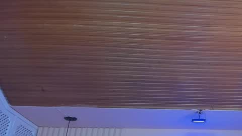 Viiolett online show from October 2025 08:26:01 PM