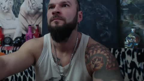 viking online show from December 2024 07:24:02 AM