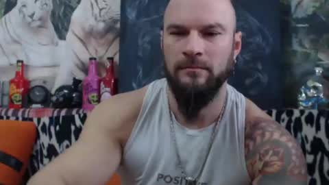 viking online show from December 2024 07:11:02 AM