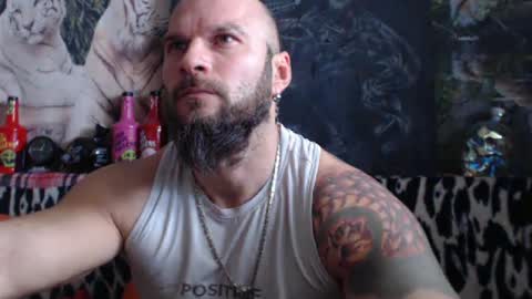 viking online show from December 2024 10:04:02 AM