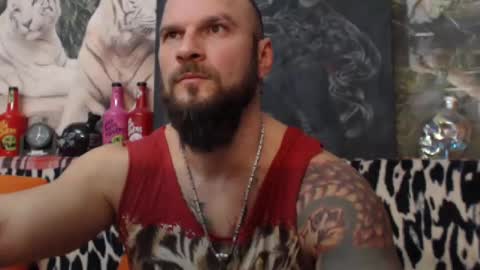 viking online show from January 2025 04:18:01 PM