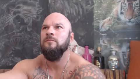 viking online show from November 2025 10:28:01 AM