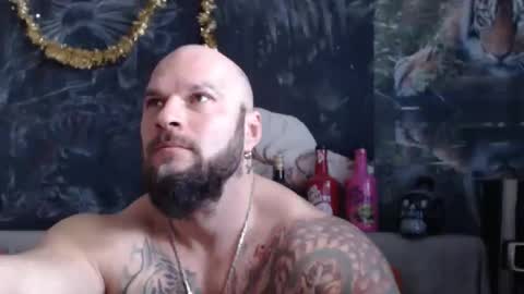 viking online show from February 2026 08:02:01 AM