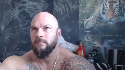 viking online show from April 2026 06:16:02 AM