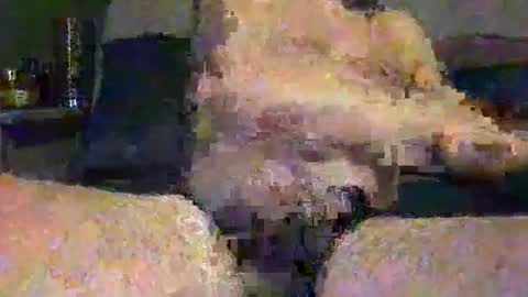 Vinny online show from May 2026 07:46:02 AM