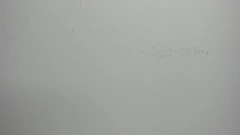 Snapshot of violett_24_ chatting on March 2025 11:39:02 AM violett_24_ online show from March 2025 11:39:02 AM