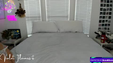 Violet Flowers online show from April 2026 05:24:02 PM