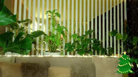 Violetta online show from January 2026 11:18:01 PM