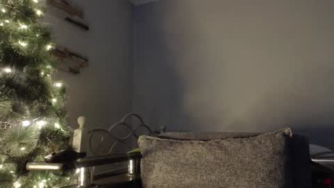 Snapshot of virgil____ chatting on December 2024 10:29:02 AM virgil____ online show from December 2024 10:29:02 AM