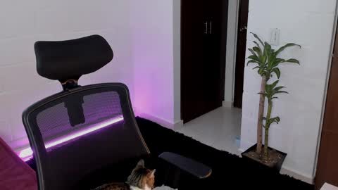 Lu online show from March 2025 12:27:02 AM