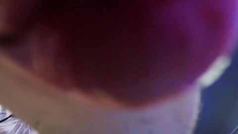 Snapshot of vittorio_cerati chatting on May 2026 03:43:01 PM new acount online show from May 2026 03:43:01 PM