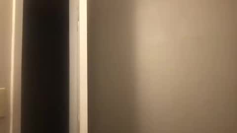 Snapshot of vivianowo chatting on October 2025 04:46:02 AM 3 Vivian 3 online show from October 2025 04:46:02 AM