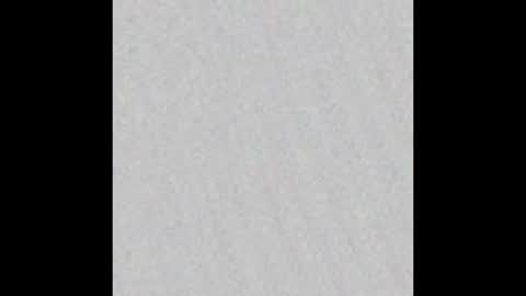 Vivian online show from October 2025 12:02:02 PM